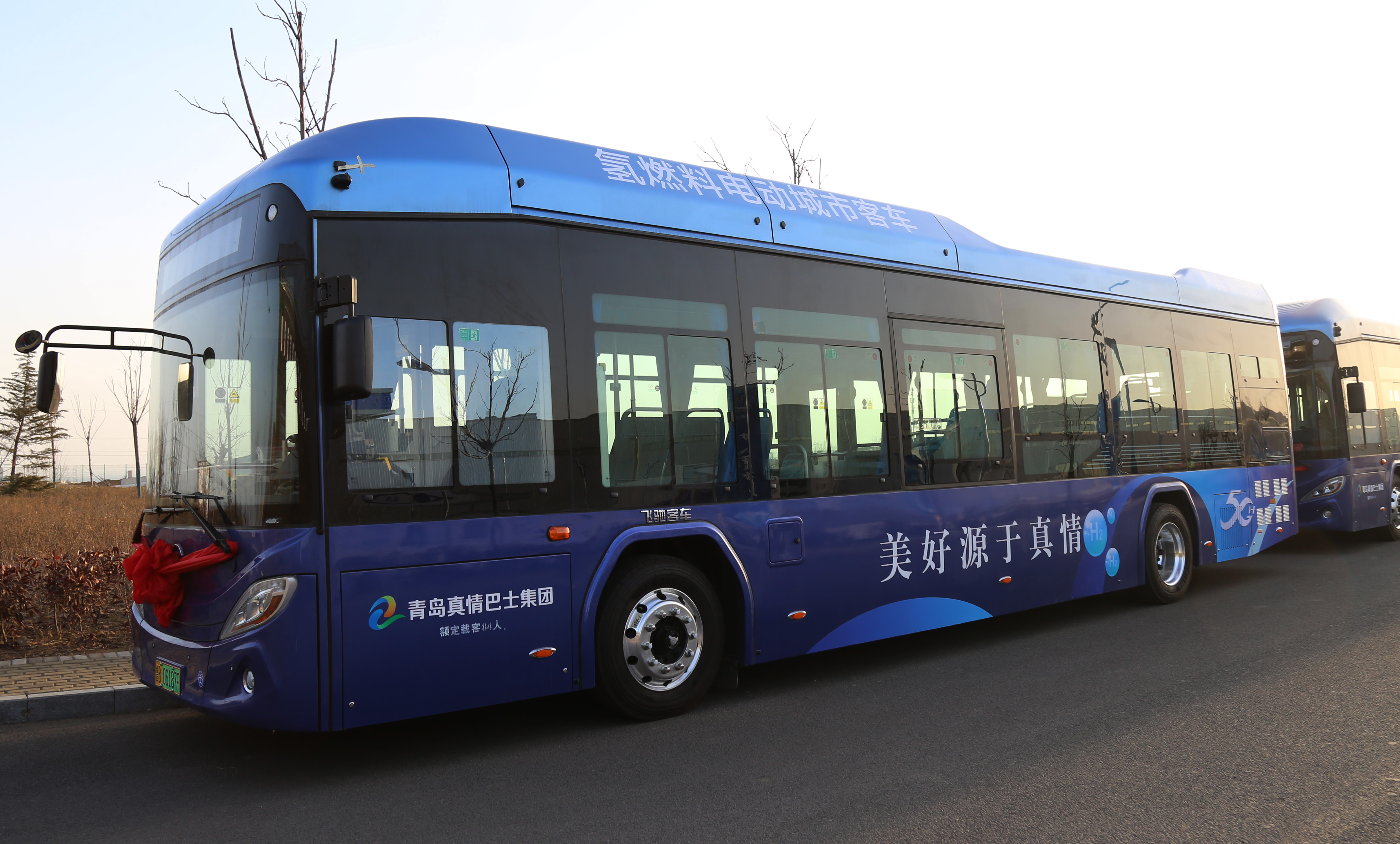 首批50辆氢能源公交车陆续在青岛真情巴士811,30路等线路运行.