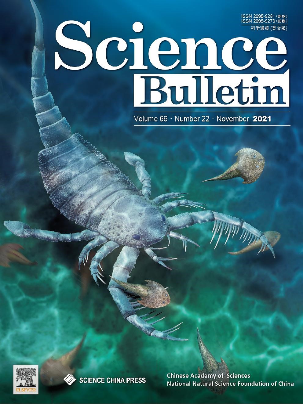 体长1米中国首次发现43亿年前的海蝎子